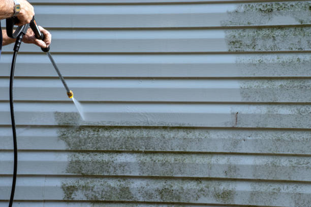 Affordable siding repair and maintenance services in Reston, VA